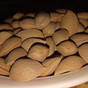 Ghizer Organics Almond
