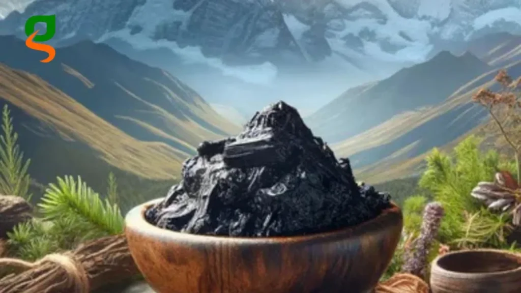 Shilajit Benefits for Females – Ghizer Organics Shilajit